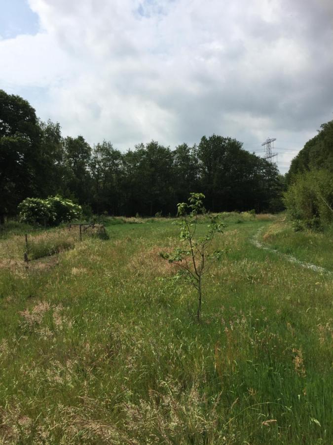 De Distelweide Holsloot Exterior foto