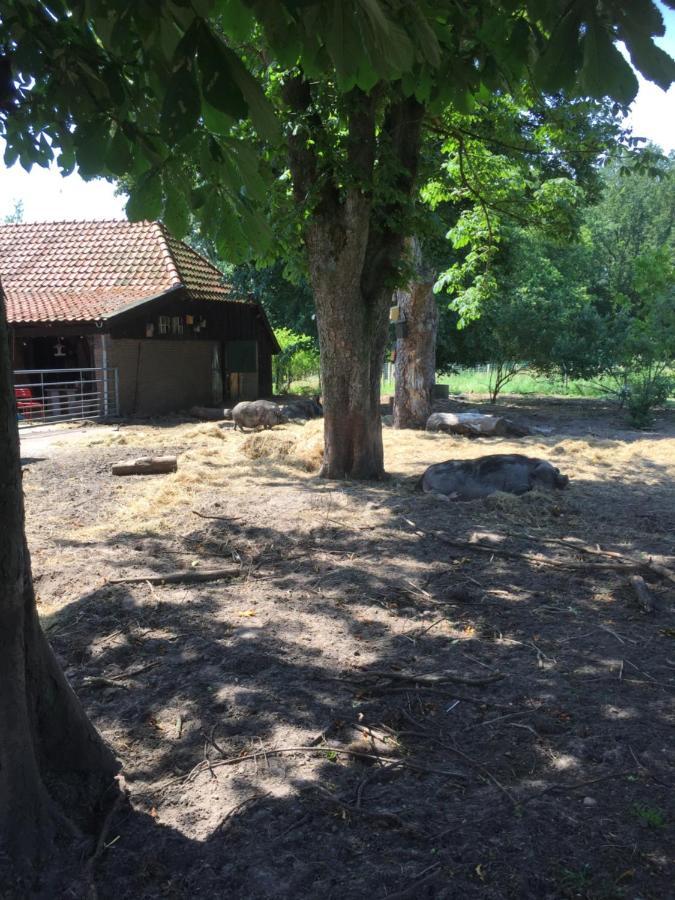 De Distelweide Holsloot Exterior foto